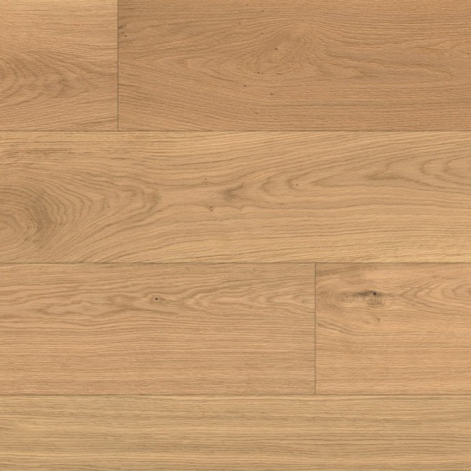 ONDO OAK